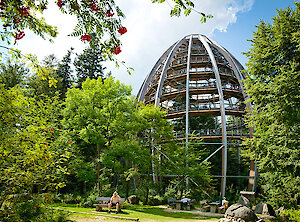 Baumwipfelpfad am Nationalpark Bayerischer Wald